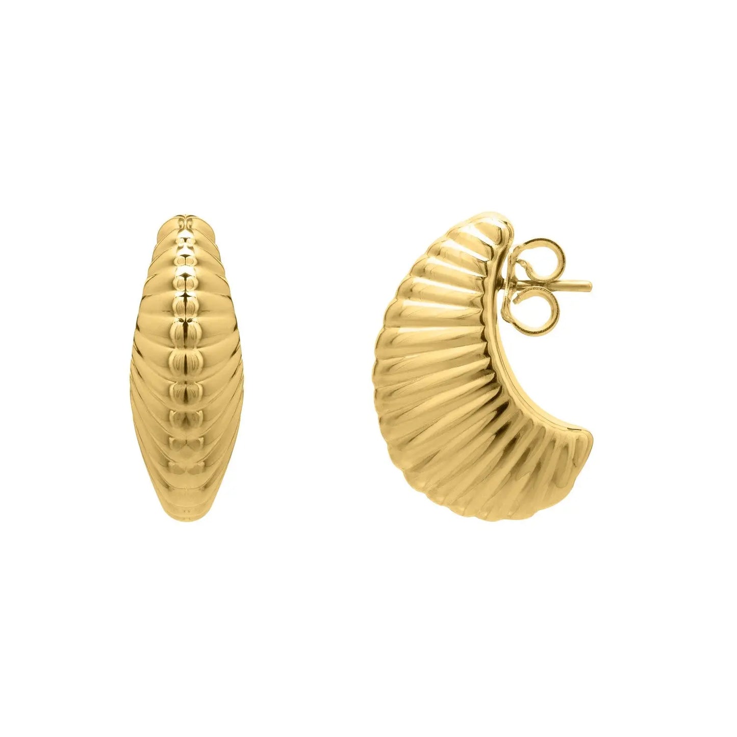 Puffy Graduated Ribbed Shell Hoop Earrings in 14K Yellow Gold RCJ Earrings CELESTIA LUXE JEWELLERS