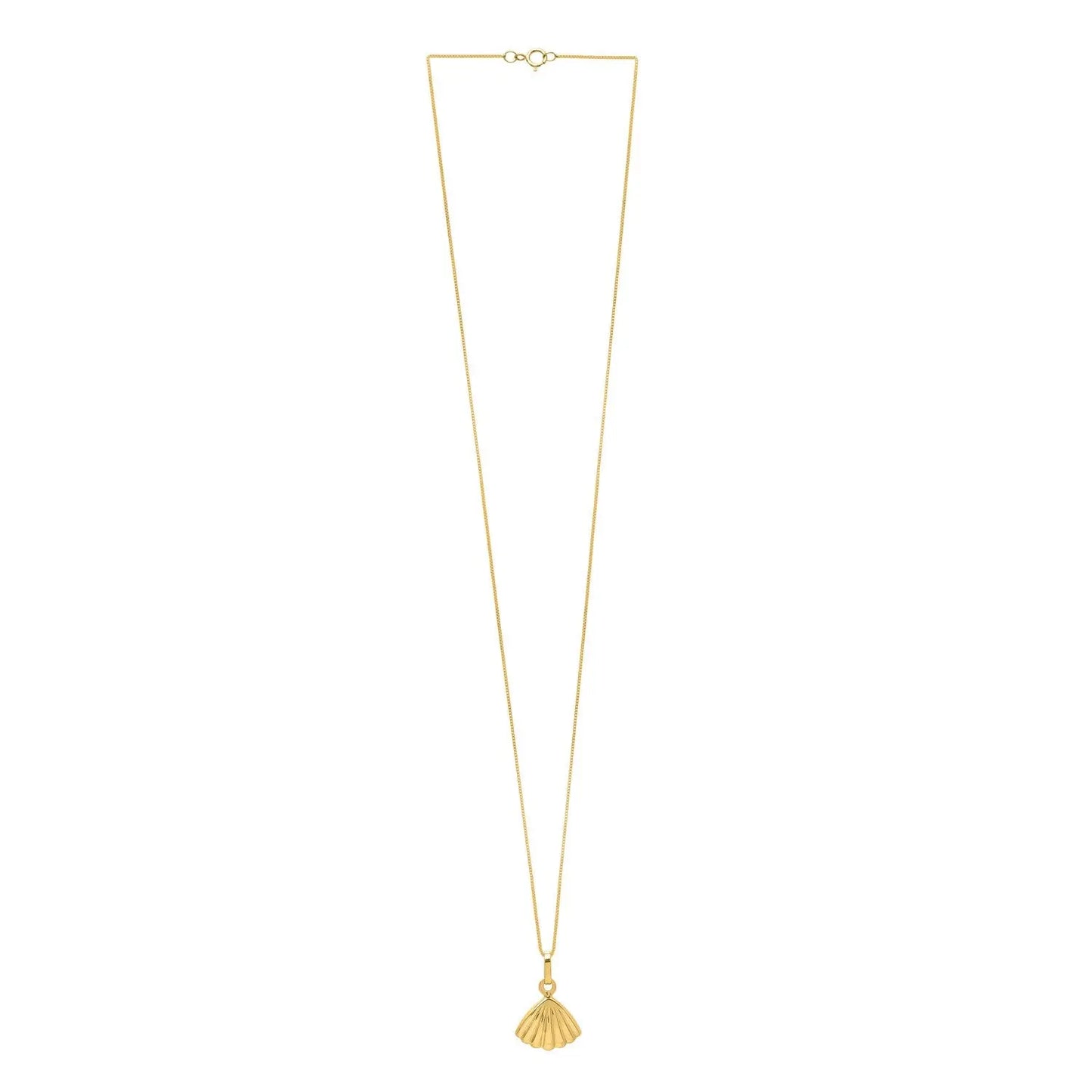 Sea Shell Necklace in 10K Yellow Gold RCJ Necklaces CELESTIA LUXE JEWELLERS