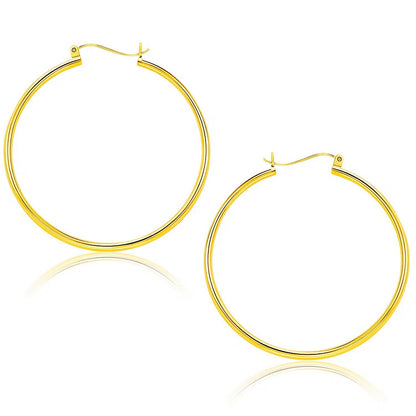 10k Yellow Gold Polished Hoop Earrings