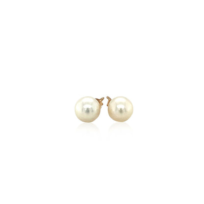 14k Yellow Gold Freshwater Cultured White Pearl Stud Earrings (6mm) RCJ Earrings  CELESTIA LUXE JEWELLERS