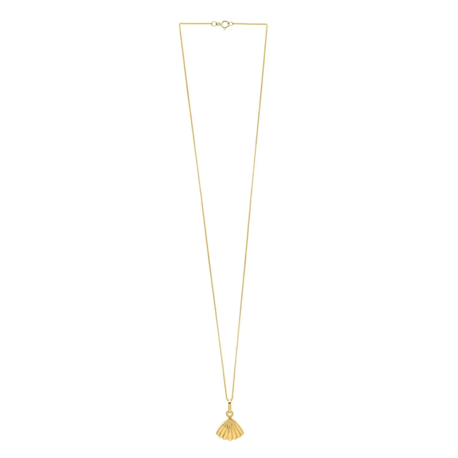 Sea Shell Necklace in 10K Yellow Gold RCJ Necklaces  CELESTIA LUXE JEWELLERS