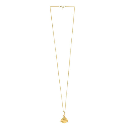 Sea Shell Necklace in 10K Yellow Gold RCJ Necklaces  CELESTIA LUXE JEWELLERS